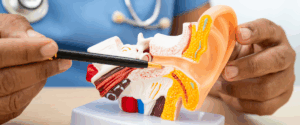 Best ENT doctor in Bannerghatta Road